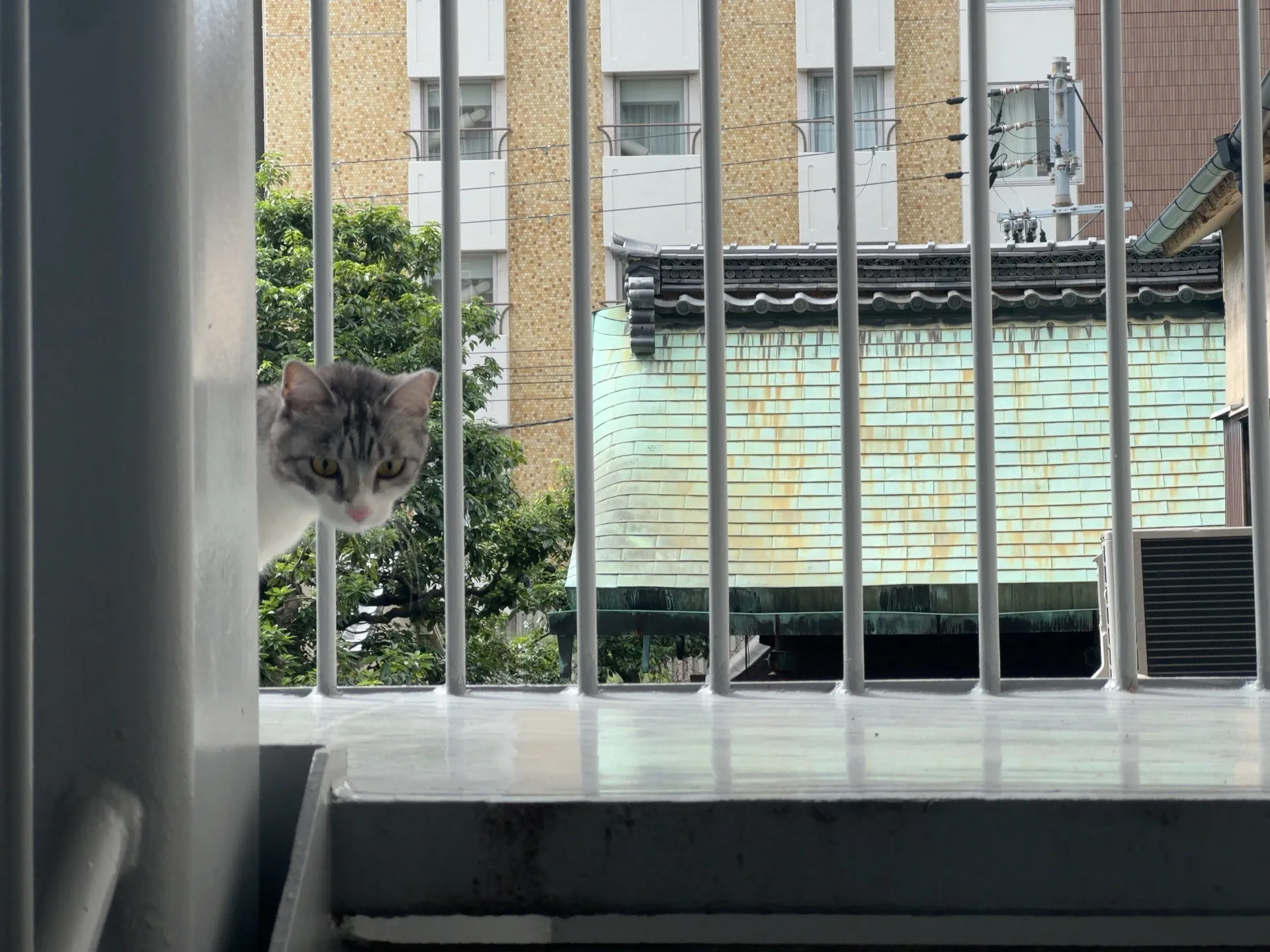 浮気調査や人探しなどご相談は無料です! | 2025.10.07