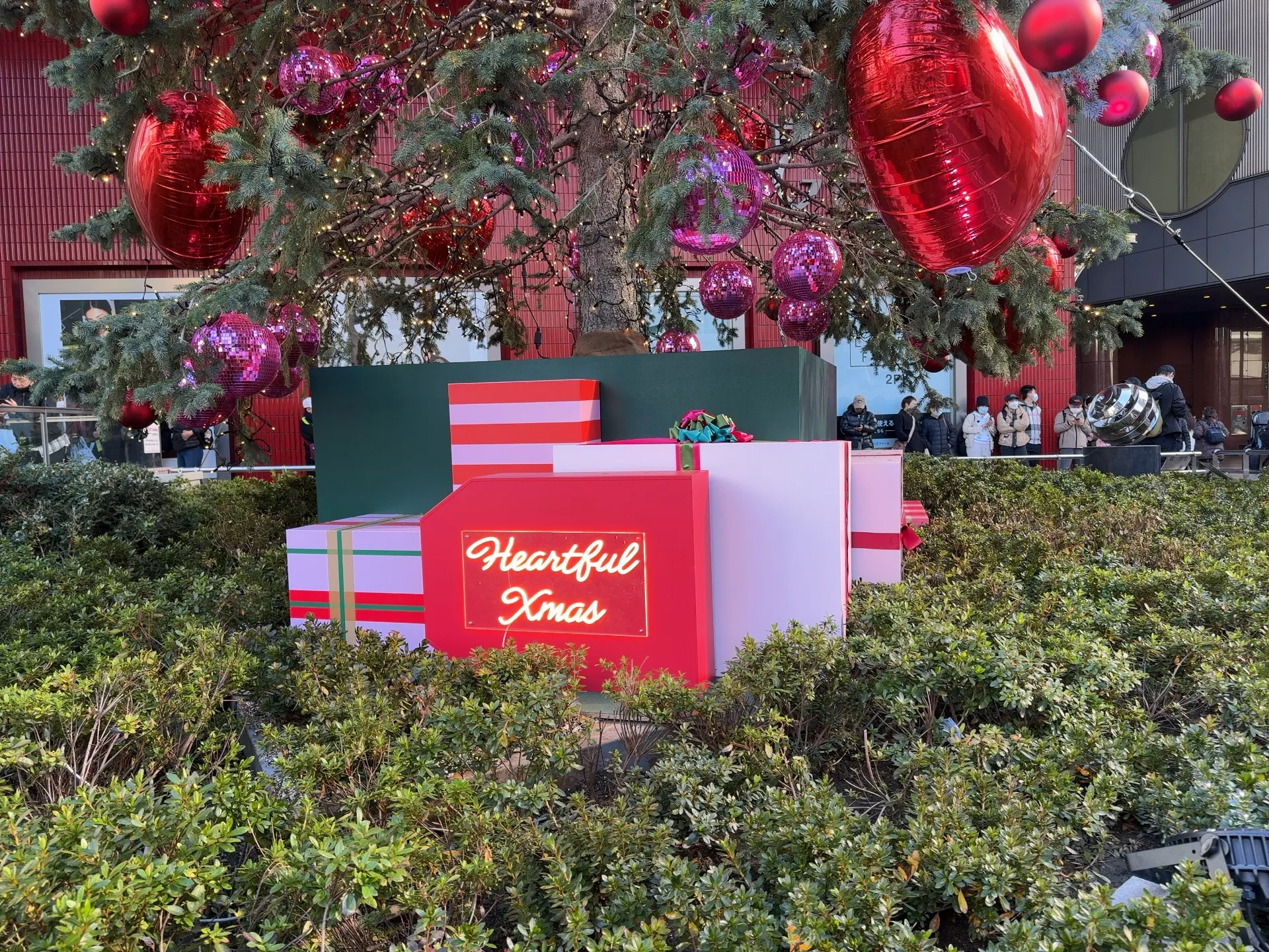 もうすぐクリスマス | 2025.12.22