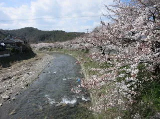 昨年に引き続き…